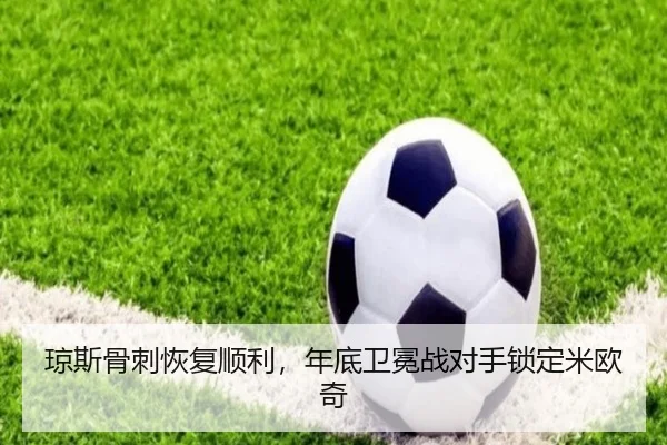 qiong-si-gu-ci-hui-fu-shun-li-nian-di-wei-mian-zhan-dui-shou-suo-ding-mi-ou-qi-2-508.jpg